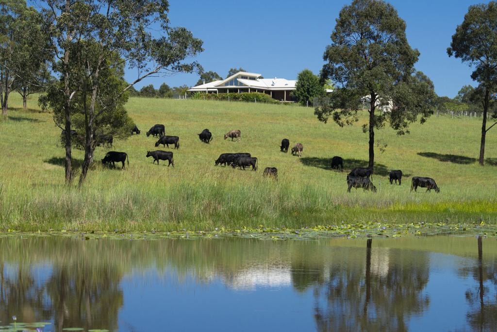 Topi Topi NSW Tourism Brisbane