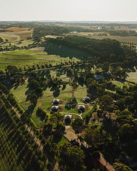 CANVS By CABN Seppeltsfield Barossa - Brisbane 4u 1
