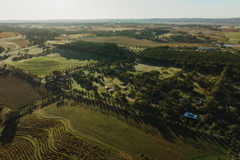 CANVS By CABN Seppeltsfield Barossa - Brisbane 4u 2