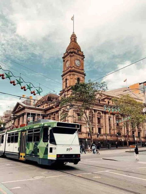 D119 Silver Birch Family Stay - Brisbane 4u 2