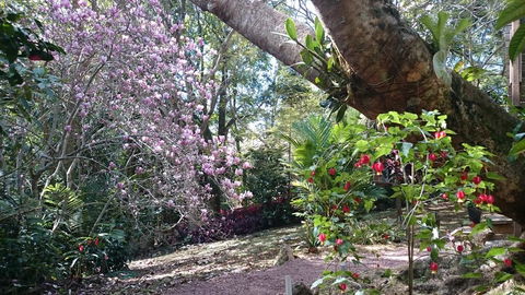 305 Montville - The Artist's Cottage - Tourism Brisbane 3