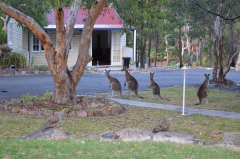 31 The Rocks - Brisbane Tourism 0