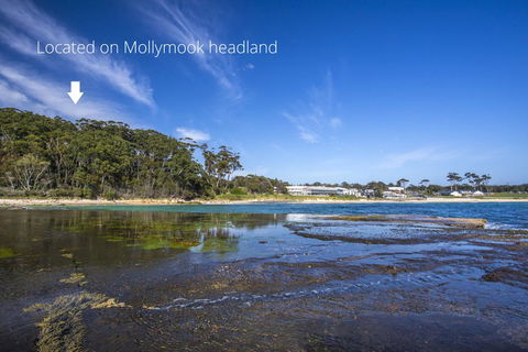 6/1 Riversdale Ave - Mollymook Exclusive - Tourism Brisbane 2