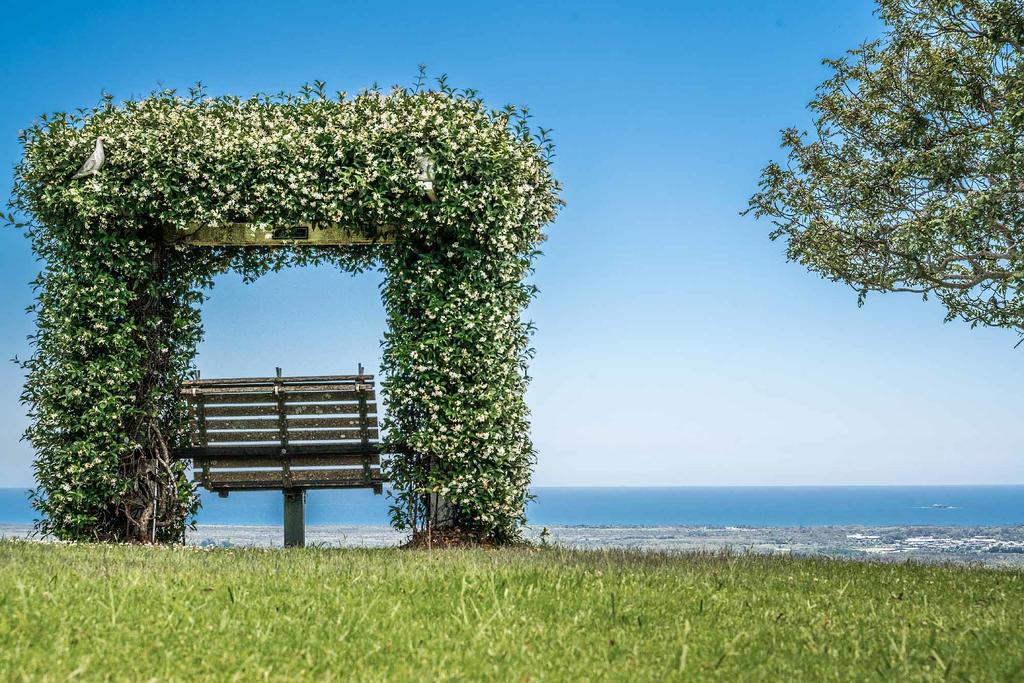 Mcleods Shoot NSW Tourism Brisbane