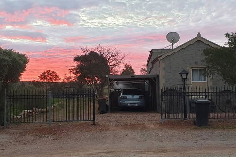 A Real Bush Retreat. Kangas, Emus & Starry Skies. - Brisbane Tourism 1