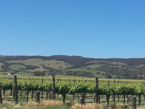 A Victor Harbour Retreat Aldinga Tony's Music Cottage - Tourism Brisbane 3