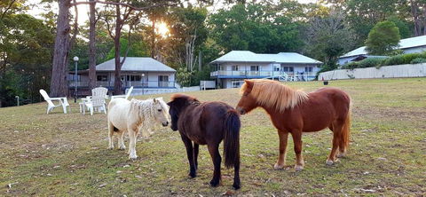 Aaronlee Retreat - Tourism Brisbane 2