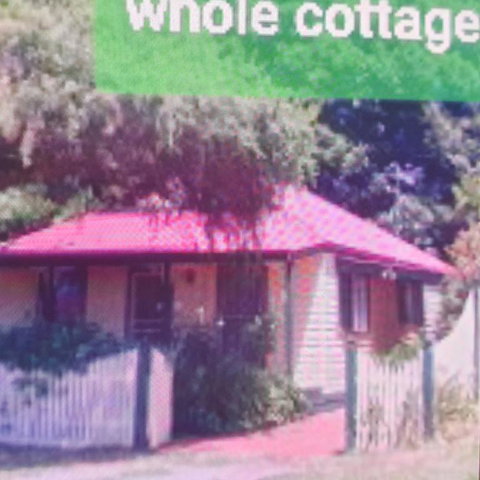 Abelia Cottages Botanical - Brisbane Tourism 3