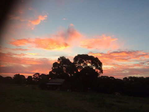 Abington Farm - Tourism Brisbane 3