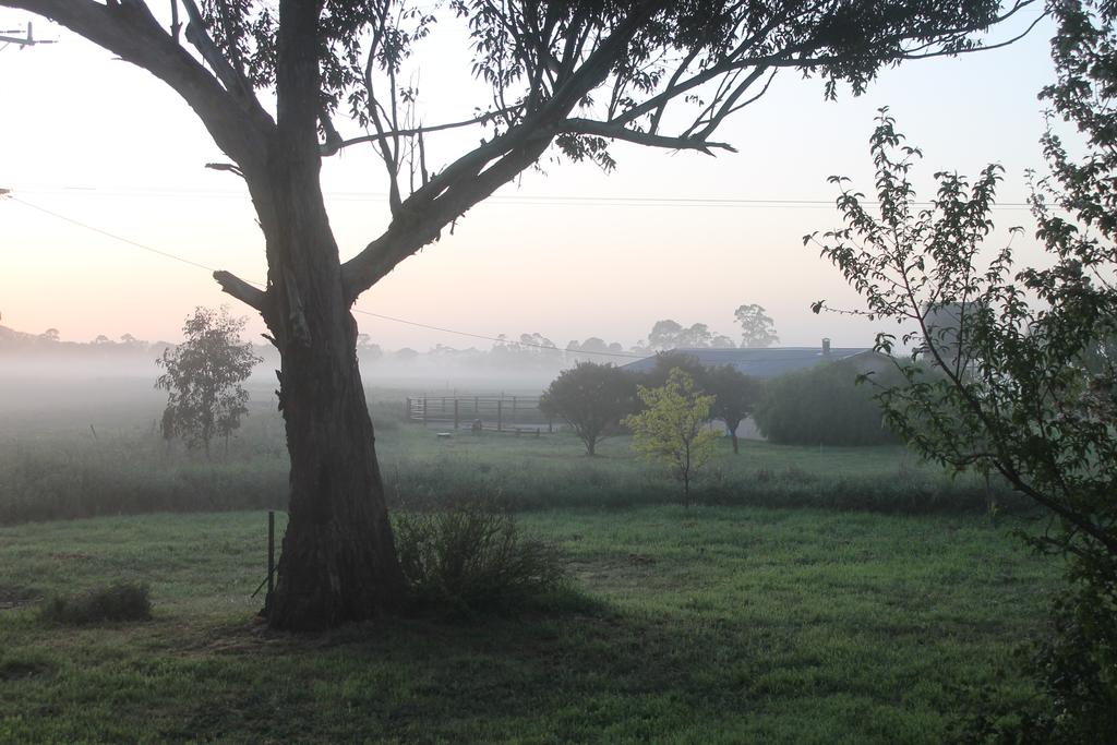 Arbuckle VIC Tourism Brisbane