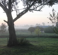 Abington Farm - Tourism Brisbane