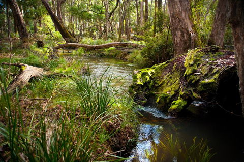 Ablac Studio - Tourism Brisbane 1