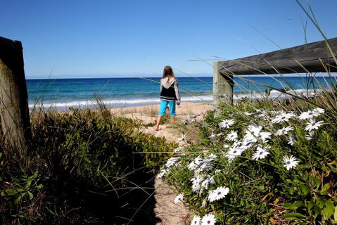 Absolute Beachfront Mollymook - Brisbane Tourism 3