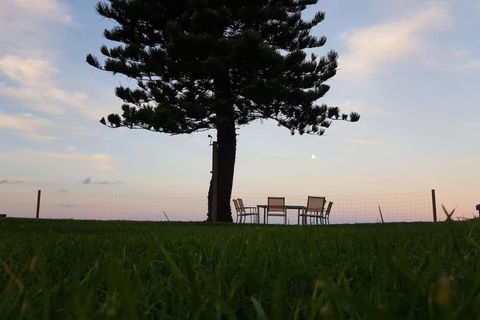 Direct Beachfront Sunrise Apartment - The Coachhouse - Tourism Brisbane 1