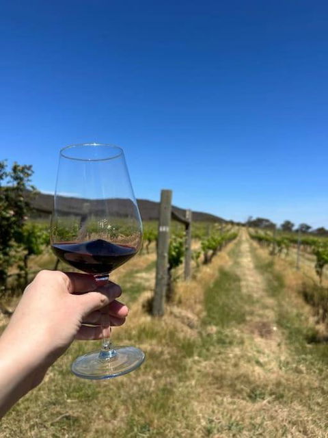 Downing Estate Homestead - Tourism Brisbane 4