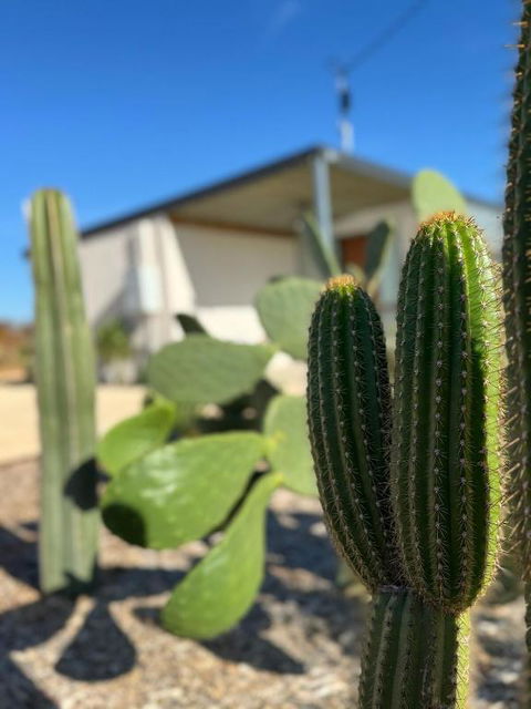 Dreamy Staiz - Riverland Abode - Tourism Brisbane 2