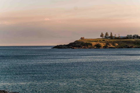 Driftwood Beach House - Tourism Brisbane 3