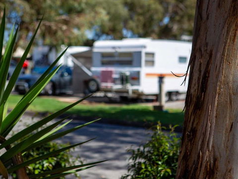 Echo Holiday Parks - Windsor Gardens - Brisbane Tourism 4