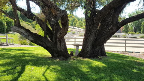 Equestrian Farm Stay - Brisbane 4u 0