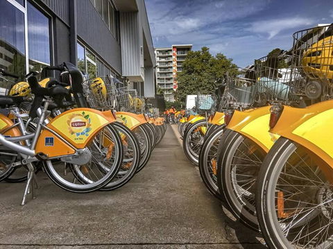 Experience More So Local - Tourism Brisbane 2