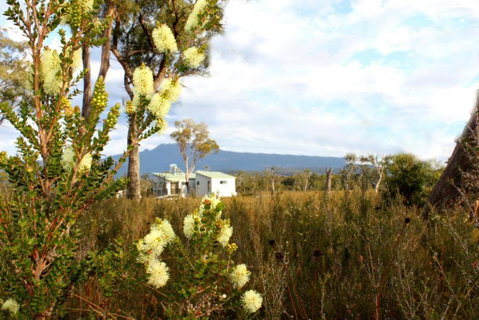 Far South Eco-Cabin, Southern Tasmania - Tourism Brisbane 0