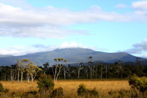 Far South Eco-Cabin, Southern Tasmania - Tourism Brisbane 1