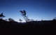 Far South Eco-Cabin, Southern Tasmania - thumb 2