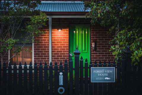 Forest View - Tourism Brisbane 1