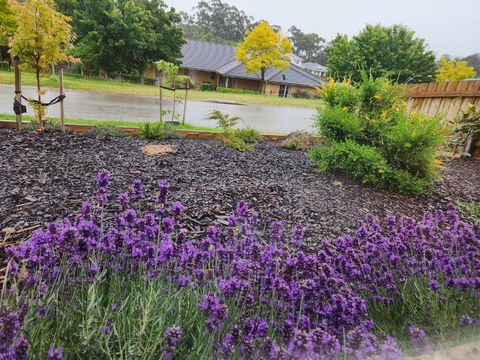 Getaway On Amaroo Way - Tourism Brisbane 1