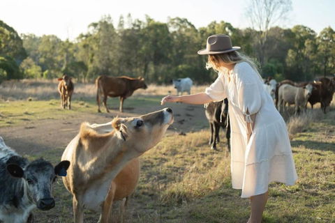 Golden Hill Farmstay By Tiny Away - Brisbane 4u 4