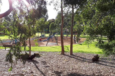 Harp Haven - Contemporary In Suburban Tree Lined Kew - Tourism Brisbane 1