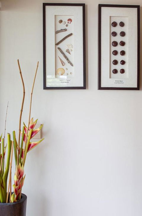 Hibiscus 52 - Fabulous Location 3 Minutes Walk To Beach And Macrossan St - Tourism Brisbane 3