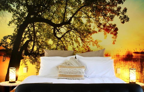 Hideaway Falls - Evergreen Cottage - Tourism Brisbane 3