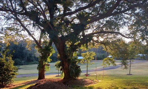 Hideaway Falls - Evergreen Cottage - Tourism Brisbane 2