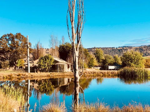 Hillview Cottage - Tourism Brisbane 1