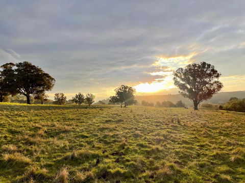 Hillview Cottage - Tourism Brisbane 3