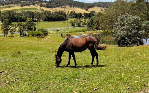 Honeycomb Hill Of Yarra Valley - Tourism Brisbane 3