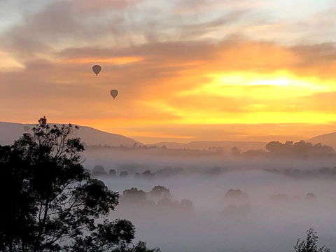 Honeycomb Hill Of Yarra Valley - Tourism Brisbane 1