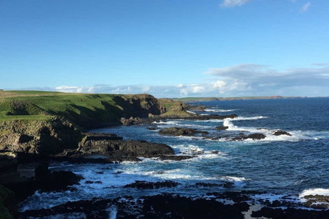 Adrift At Ventnor On Phillip Island, Pets - Brisbane Tourism 1