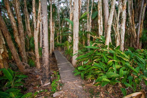 Agnes Palms Accommodation - Brisbane Tourism 0