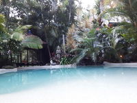 Book Eudlo Accommodation Vacations Tourism Brisbane Tourism Brisbane