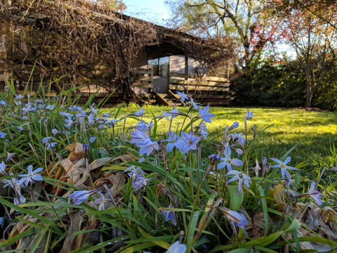 Alexander Cottage - Tourism Brisbane 3