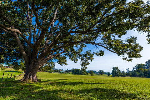 All About Me B & B - Tourism Brisbane 2