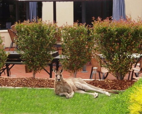 Alpha Hotel Canberra - Tourism Brisbane 1