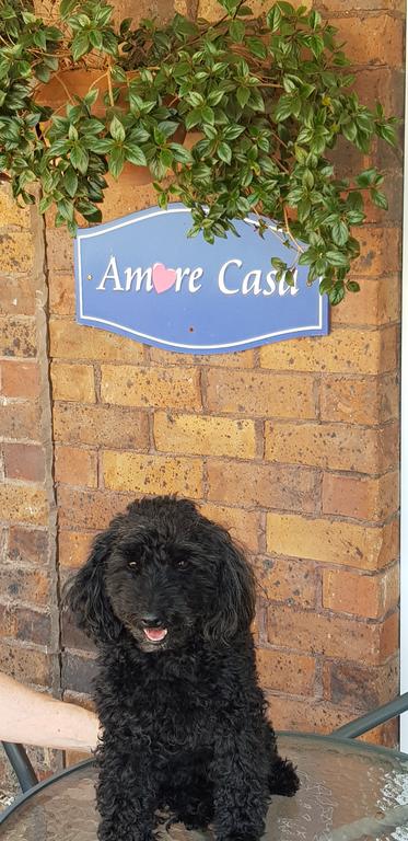 Amore Casa Tenterfield - Brisbane Tourism 2