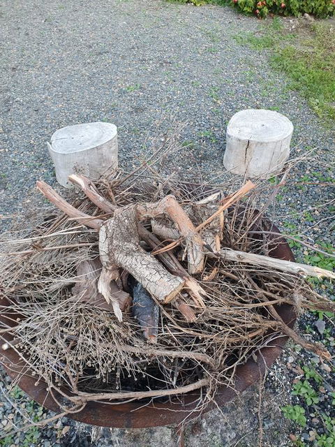 Angaston By The Winter Creek - Tourism Brisbane 3