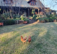 Angaston by the Winter Creek - Tourism Brisbane