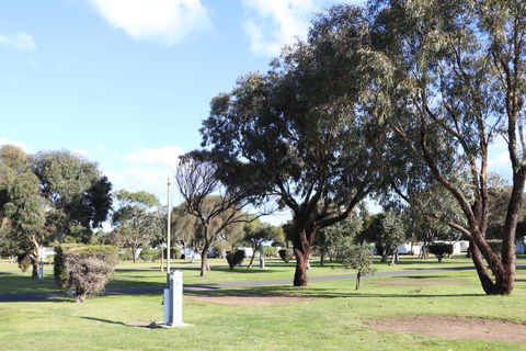 Anglesea Family Caravan Park - Brisbane Tourism 1
