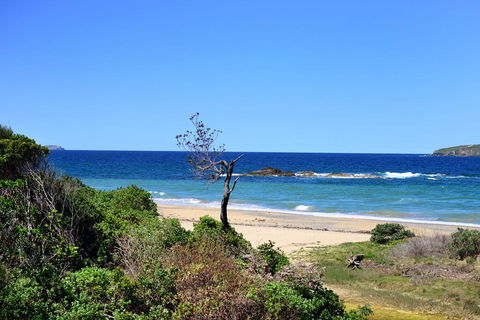 Aqualuna Beach Resort - Unit 25 - Brisbane Tourism 3
