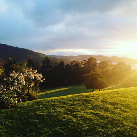 Arjuna Ridge Bed And Breakfast - Tourism Brisbane 3